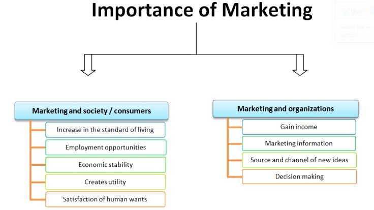 importance of marketing