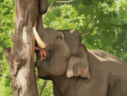 it was observed that one of the trees was severely debarked by an elephant to meet its food requirements