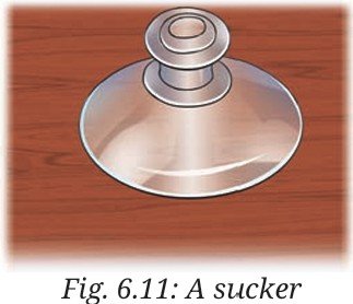 rubber sucker