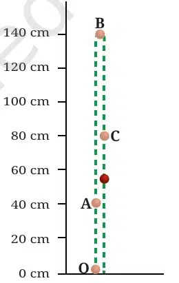 A ball is thrown upward from O