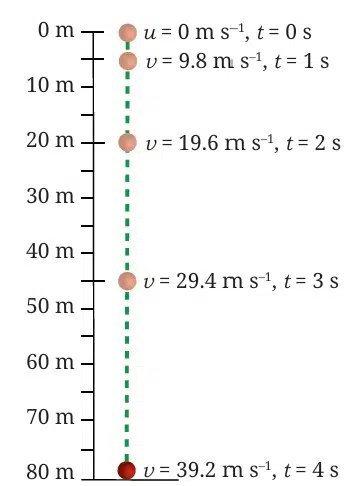 An object dropped from a height