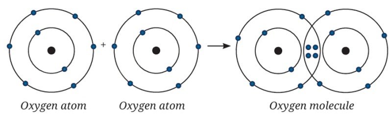 Atomic Foundations of Matter Class 9 MCQ fig 4