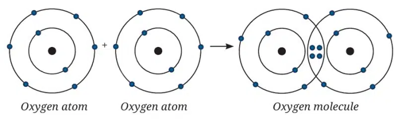 Atomic Foundations of Matter Class 9 MCQ fig 4