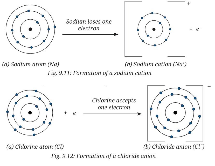 Atomic Foundations of Matter Class 9 MCQ fig 5