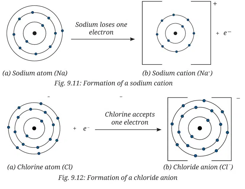 Atomic Foundations of Matter Class 9 MCQ fig 5