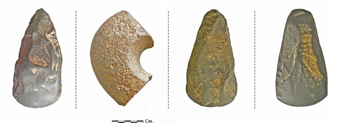 Early Humans and Beginning of Civilisation fig 2