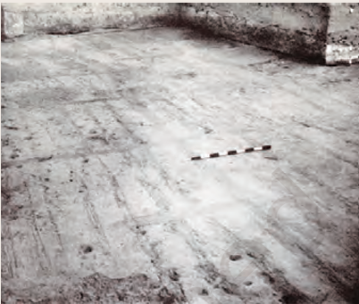 Early Humans and Beginning of Civilisation fig 3