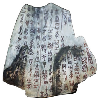 Early Humans and Beginning of Civilisation fig 6
