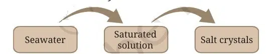 Exploring Mixtures and Their Separation FIG 3 1