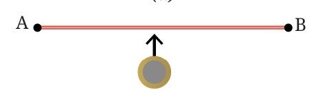 How Forces Affect Motion fig 10 1