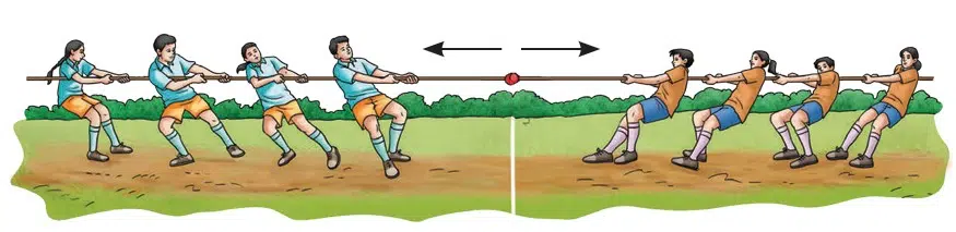 How Forces Affect Motion fig 11
