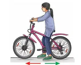 How Forces Affect Motion fig 4