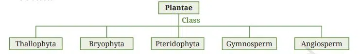 Kingdom Plantae is divided into five classes