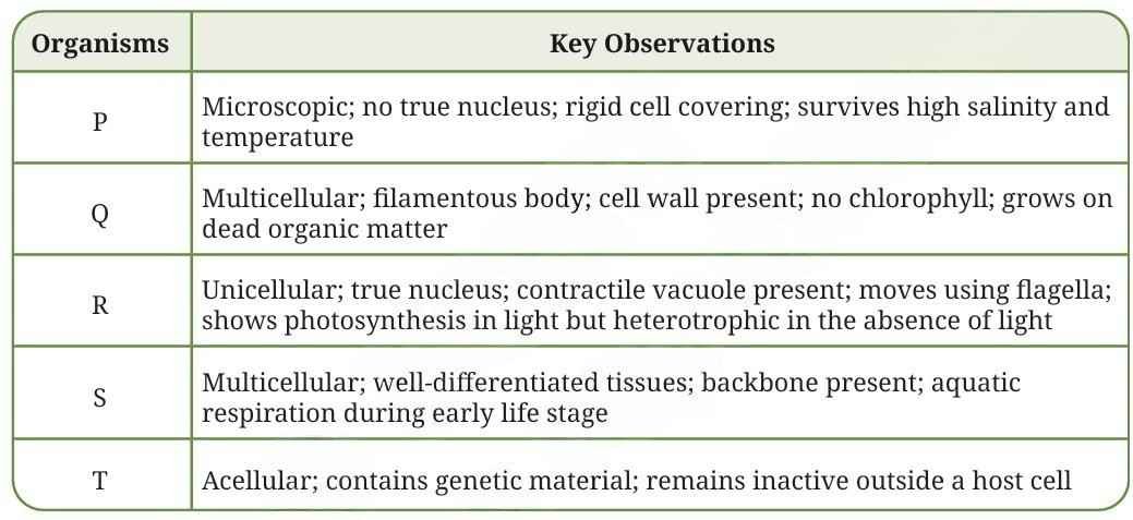 Patterns in Life Diversity and Classification