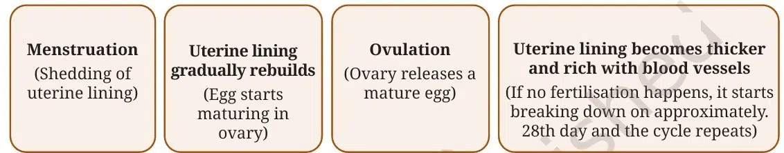 Reproduction How Life Continues Class 9 MCQ fig 13