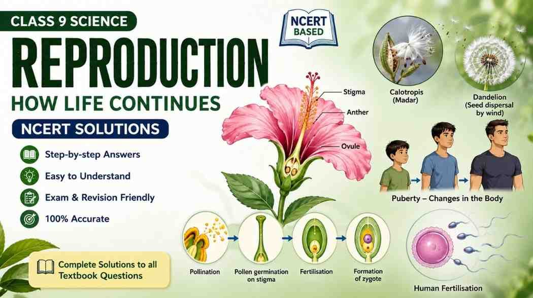 Reproduction How Life Continues Class 9 NCERT Solutions