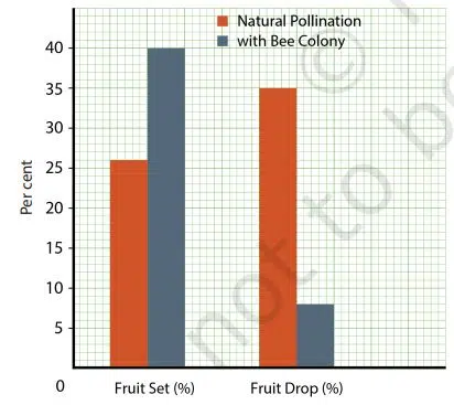 Reproduction How Life Continues fig 3