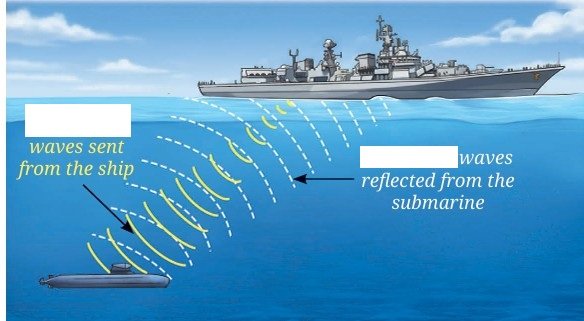Sound Waves Characteristics and Applications Class 9 fig 14