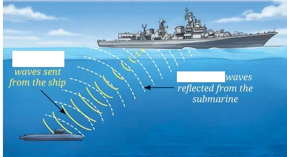 Sound Waves Characteristics and Applications Class 9 fig 14