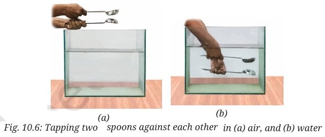 Sound Waves Characteristics and Applications Class 9 fig 2