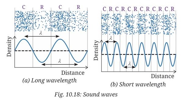 Sound Waves Characteristics and Applications Class 9 fig 8