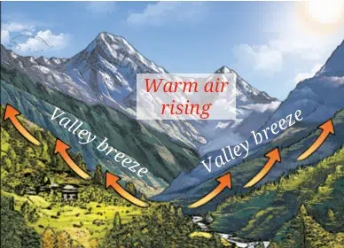 Valley breeze 1