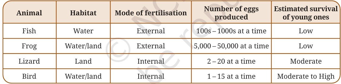 Variation in reproductive strategies among animals