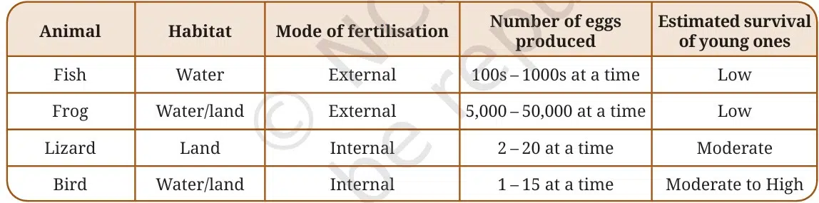 Variation in reproductive strategies among animals