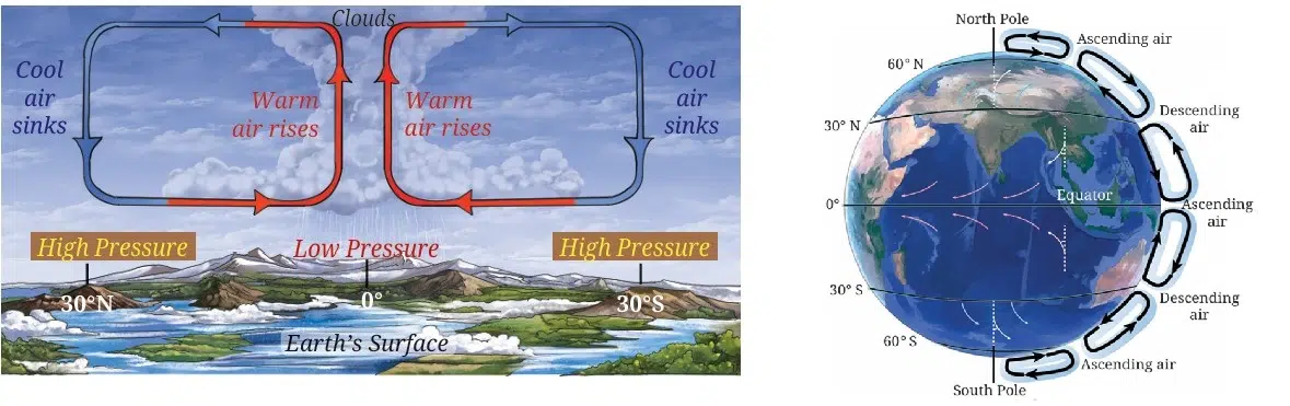 Wind circulation between equatorial low pressure belt and sub tropical high pressure belt 1
