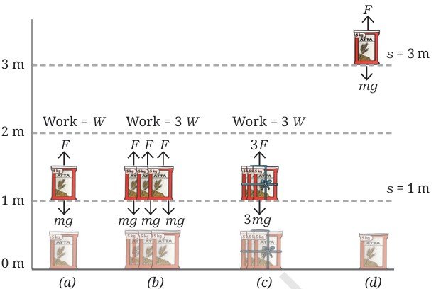 Work Energy and Simple Machines Class 9 MCQ fig 1