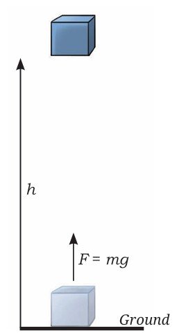 Work Energy and Simple Machines Class 9 MCQ fig 10 1