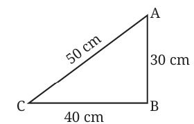 Work Energy and Simple Machines Class 9 MCQ fig 12