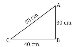 Work Energy and Simple Machines Class 9 MCQ fig 12