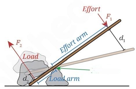 Work Energy and Simple Machines Class 9 MCQ fig 13
