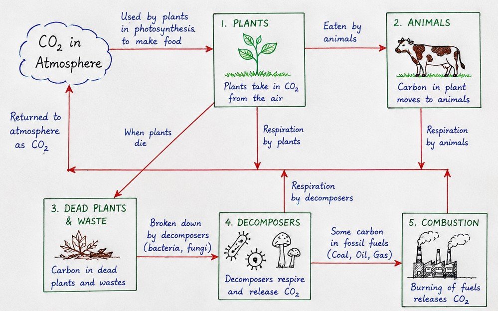 earth as a system energy matter and life fig 1