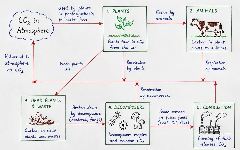 earth as a system energy matter and life fig 1