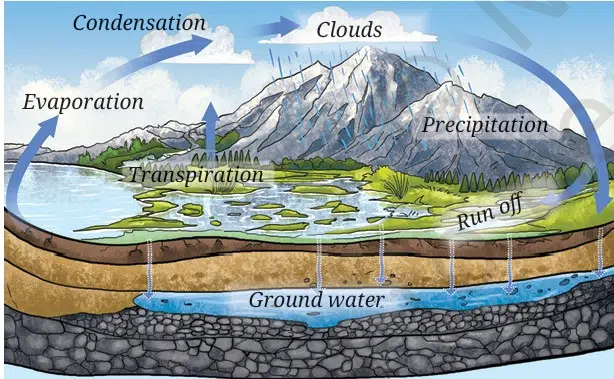 water cycle