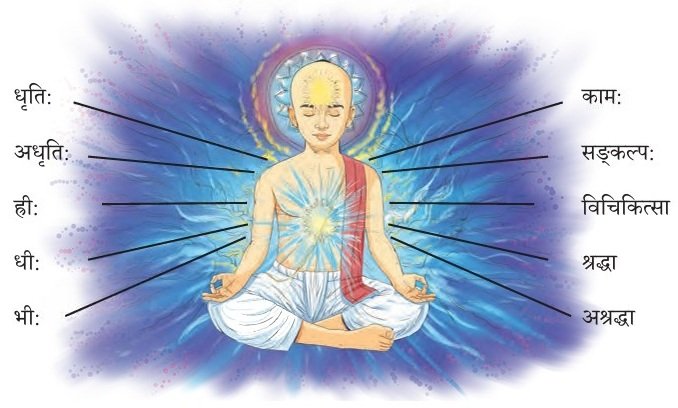 अन्नाद् आनन्दं प्रति fig 2