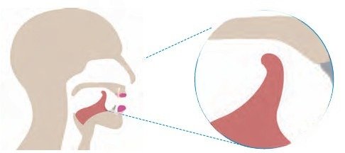 वर्णोच्चार शिक्षा २ fig 2