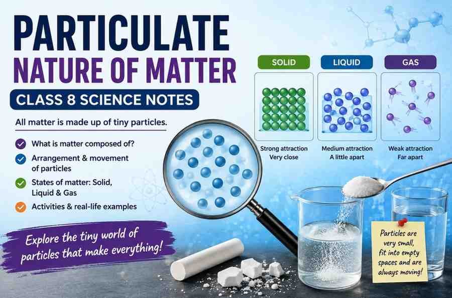 Particulate Nature of Matter Class 8 Notes