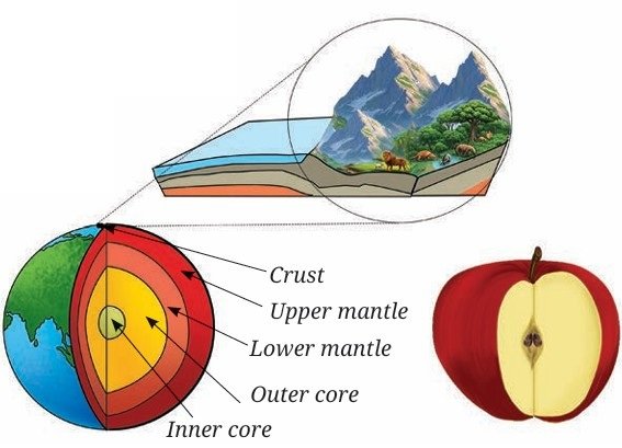 Our Home Earth a Unique Life Sustaining Planet Class 8 Notes The Earths crust is like the thin skin of an apple