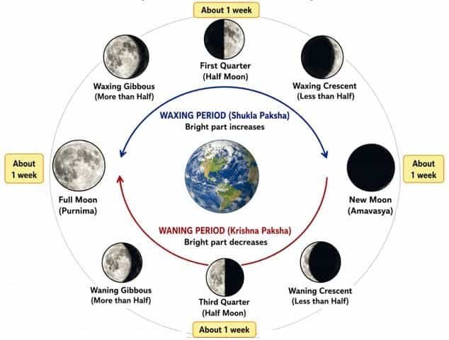 Waxing (Shukla Paksha) and waning period (Krishna Paksha) of the Moon as viewed from the Earth