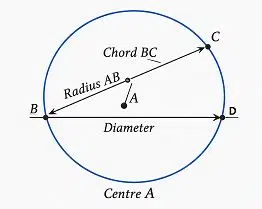 im up and down and round and round fig 1 1