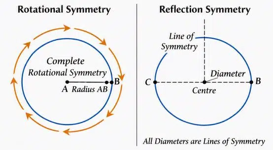 im up and down and round and round fig 2