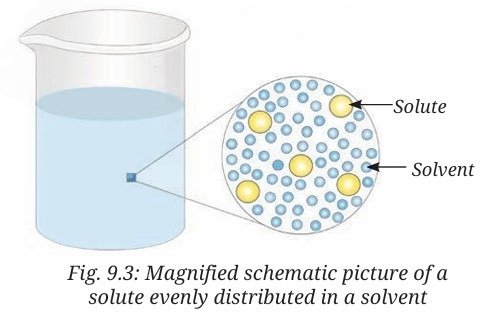 the amazing world of solutes solvents and solutions figure 1