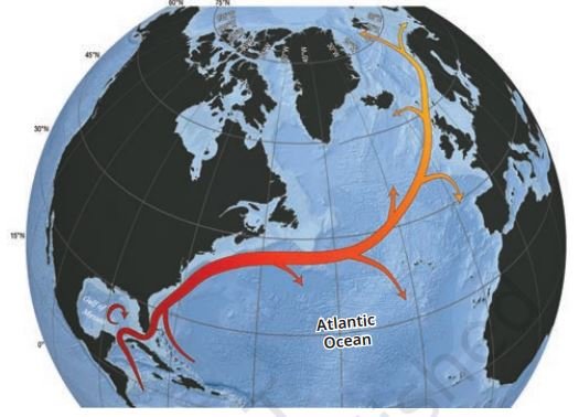 A simplified diagram of the Gulf Stream showing its main course