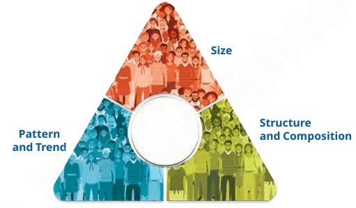 Components of demography