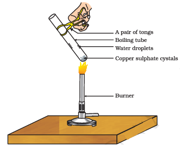 Fig 5