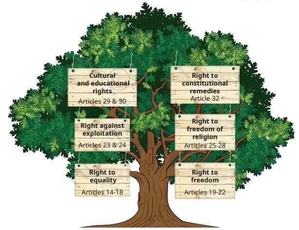 Fundamental rights