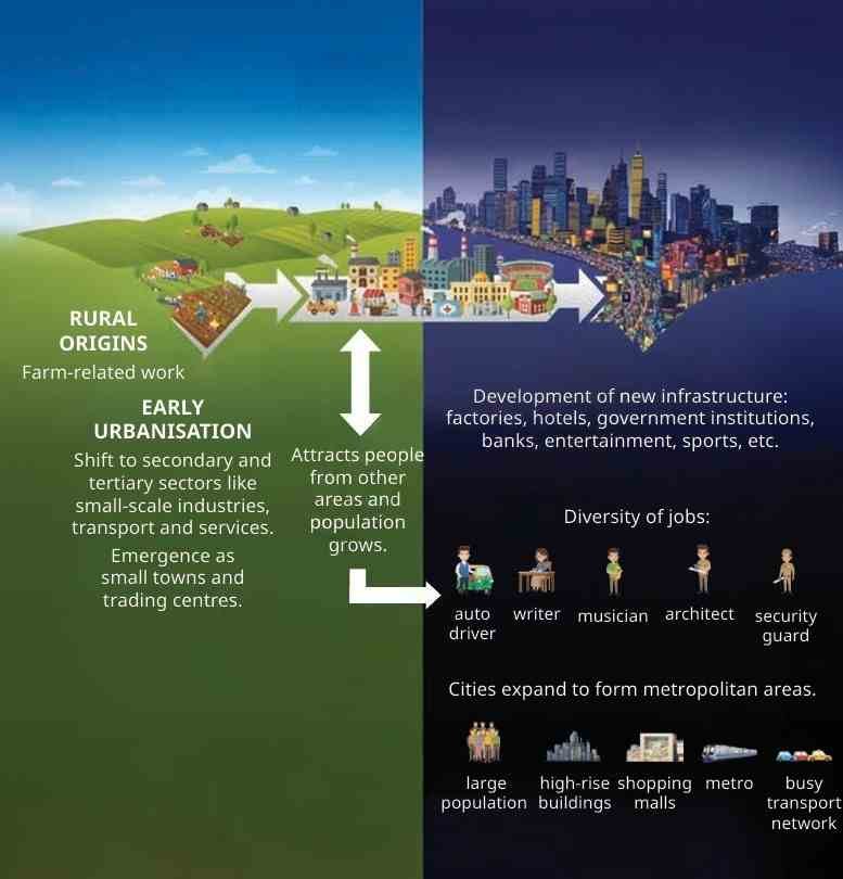  The process of urbanisation